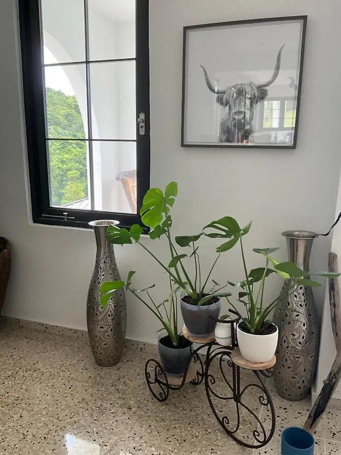 The Serene House Bed & Breakfast Luquillo Puerto Rico