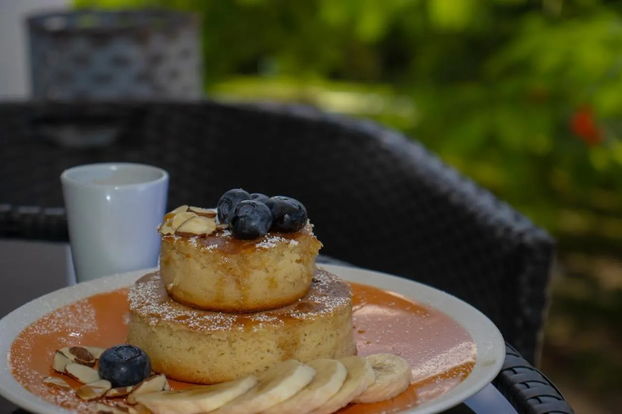 The Serene House Bed & Breakfast Luquillo