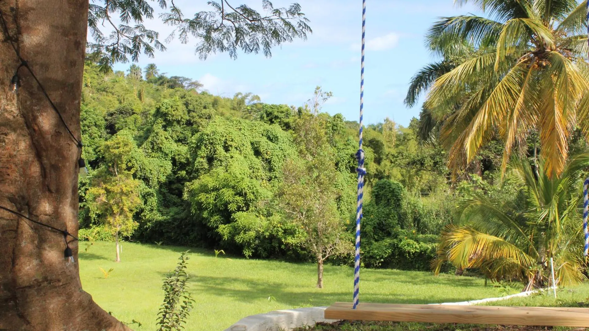 The Serene House Bed & Breakfast Luquillo