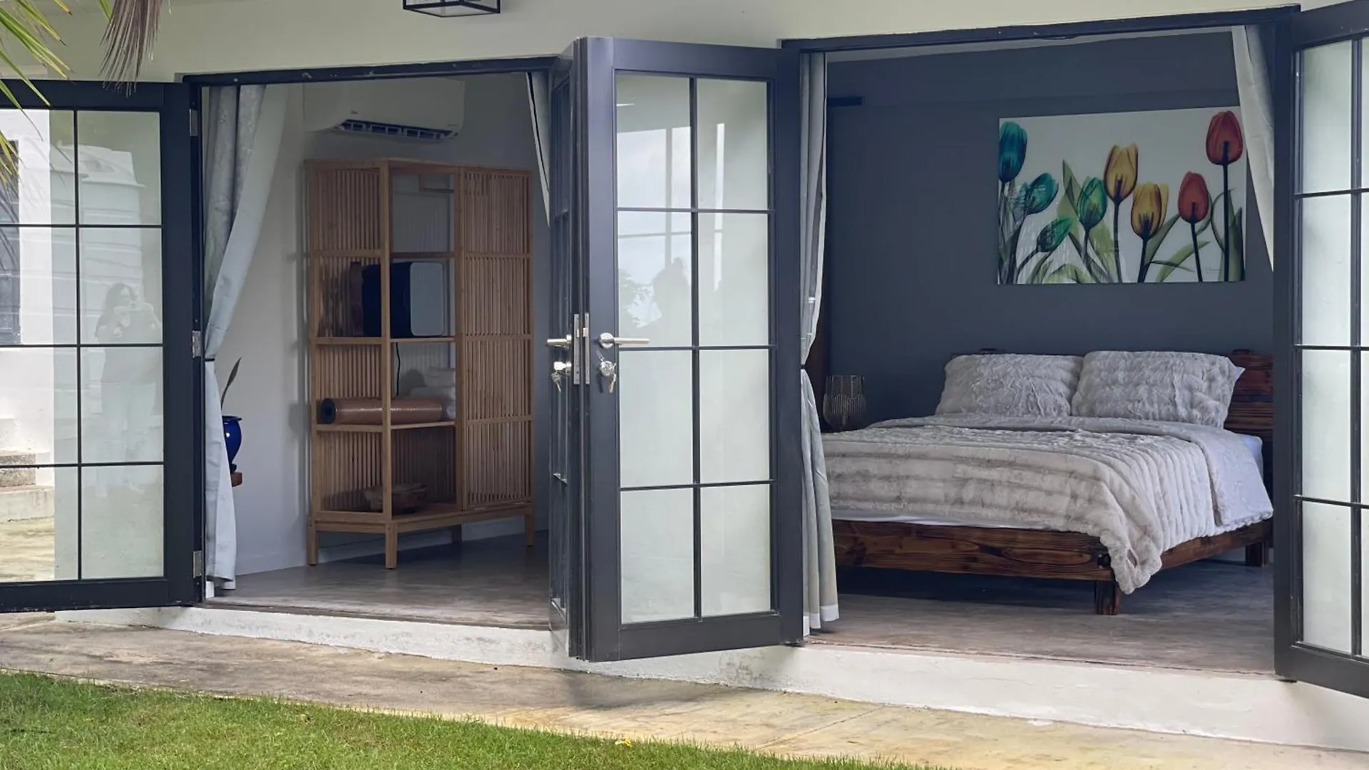 The Serene House Bed & Breakfast Luquillo