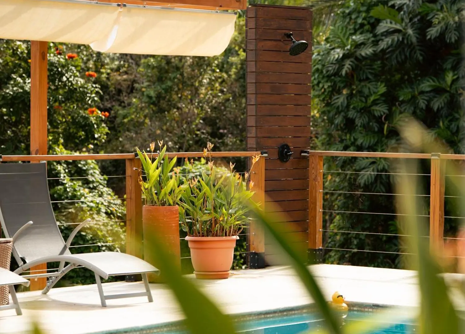 The Serene House Bed & Breakfast Luquillo Puerto Rico