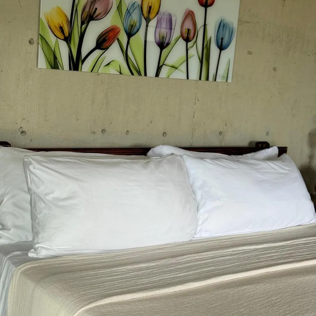 The Serene House Bed & Breakfast Luquillo Puerto Rico