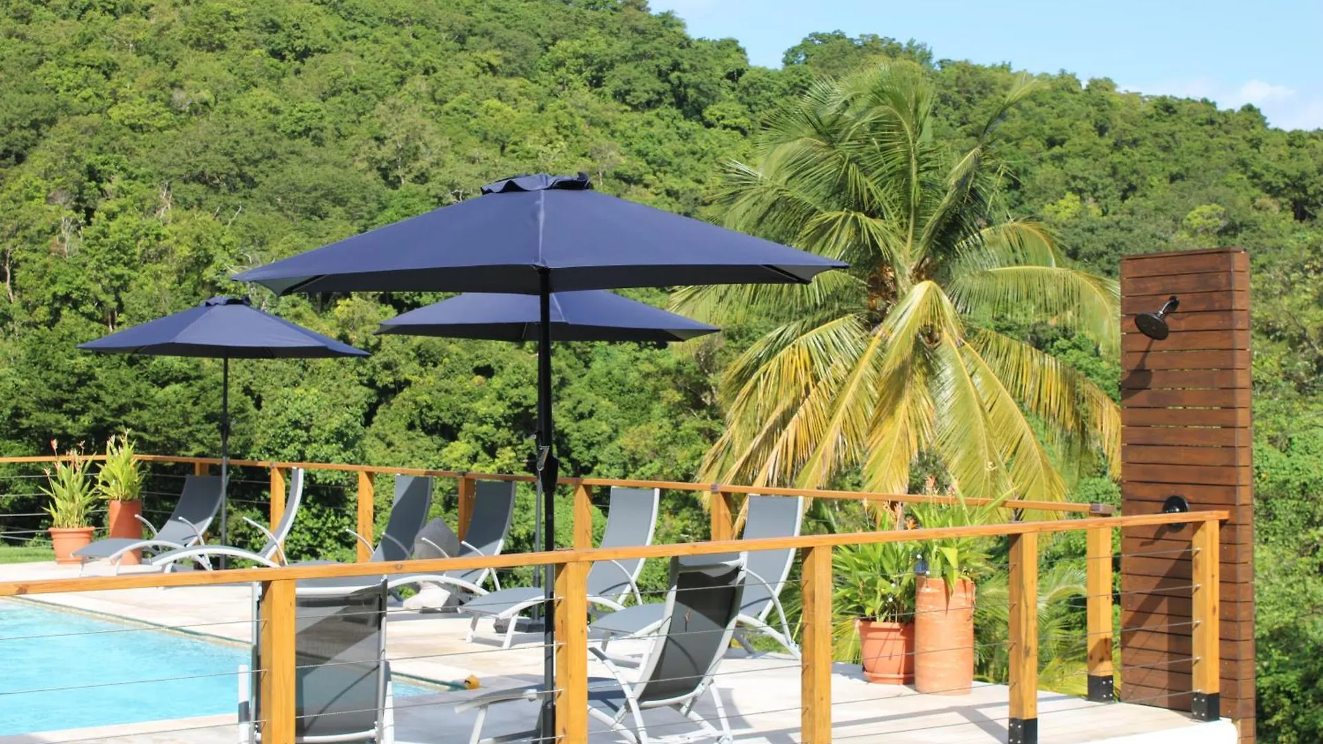 The Serene House Bed & Breakfast Luquillo