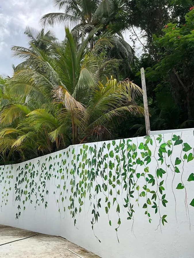 The Serene House Bed & Breakfast Luquillo 0*,  Puerto Rico