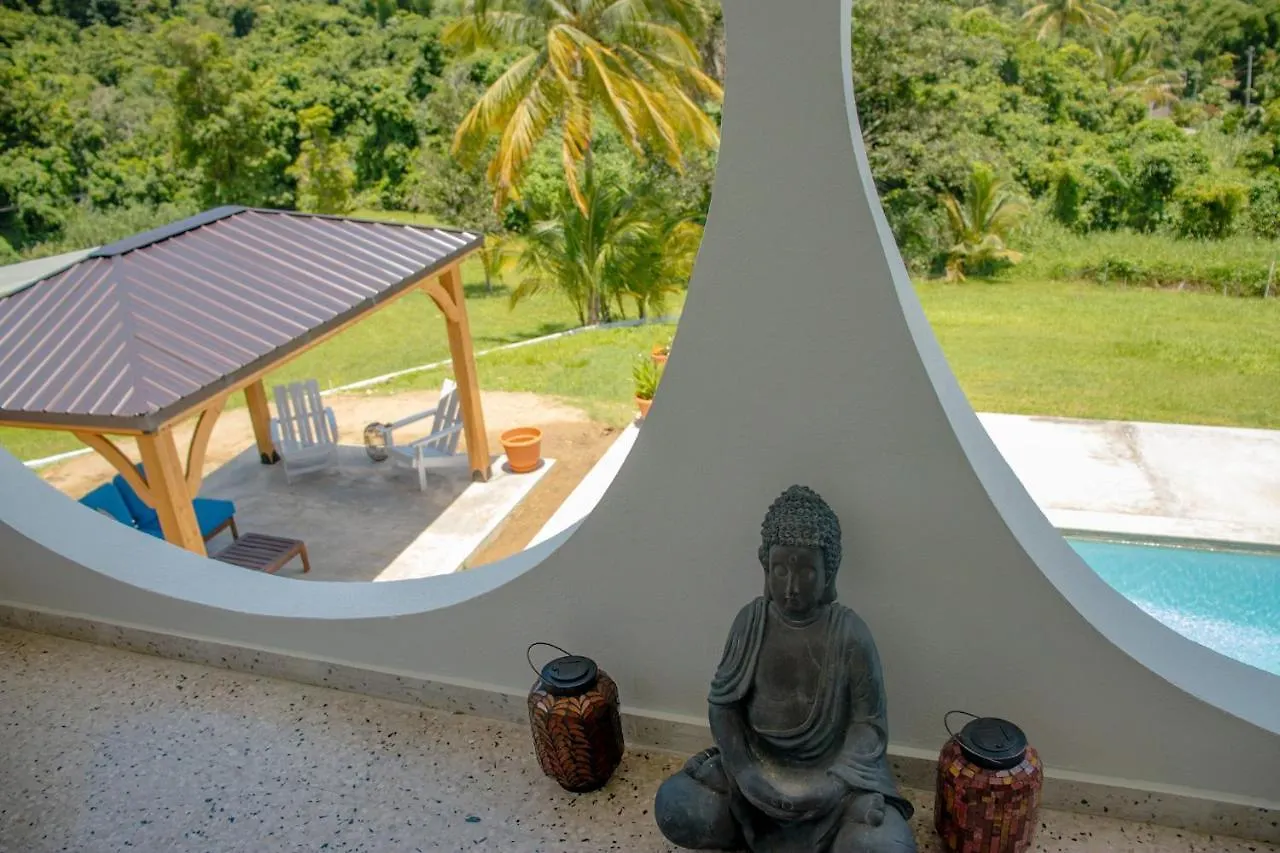 The Serene House Bed & Breakfast Luquillo