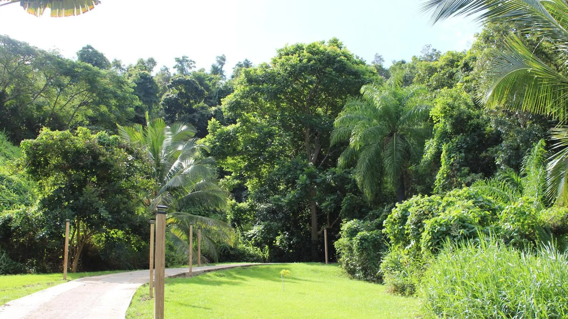 The Serene House Bed & Breakfast Luquillo
