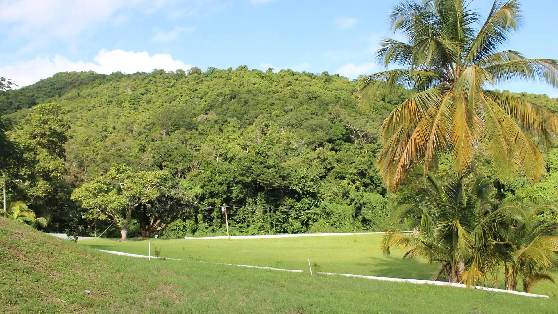 The Serene House Bed & Breakfast Luquillo Puerto Rico