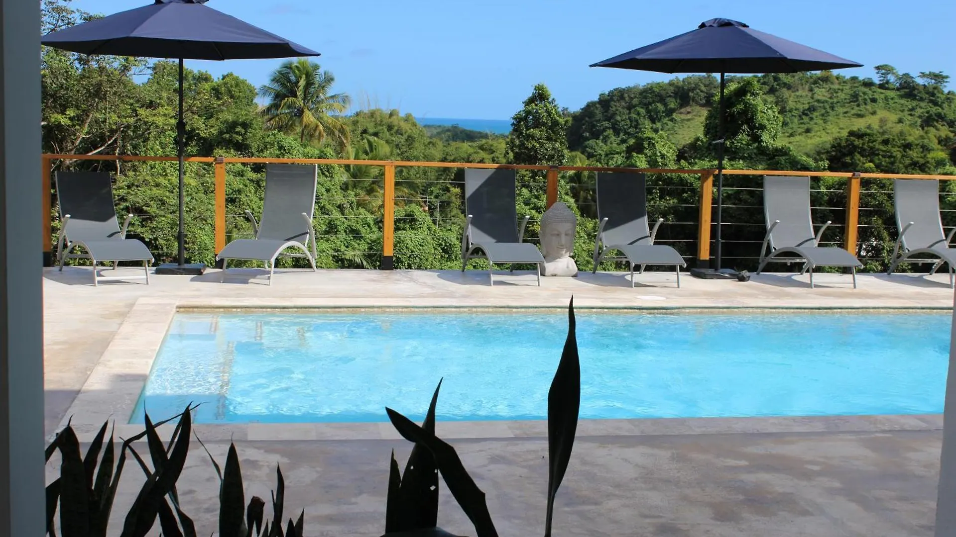 The Serene House Bed & Breakfast Luquillo