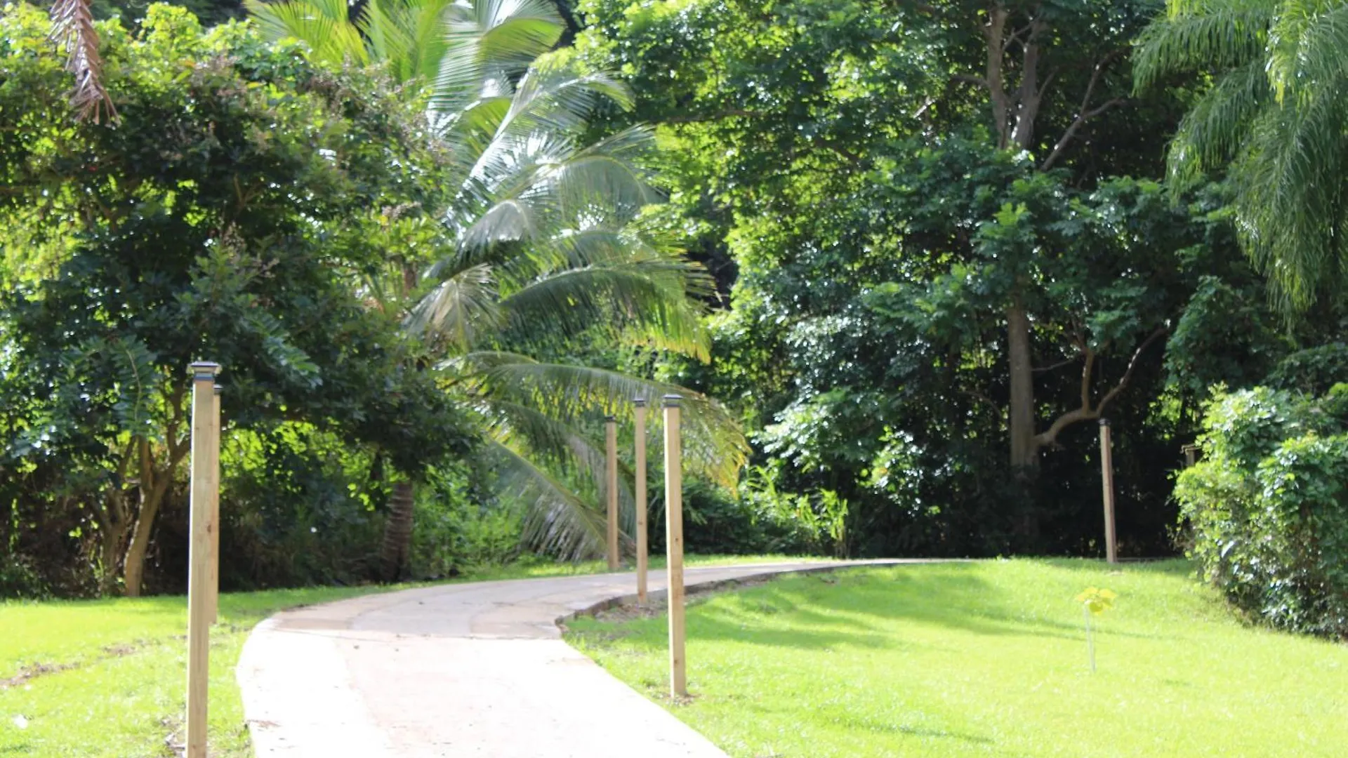 The Serene House Bed & Breakfast Luquillo
