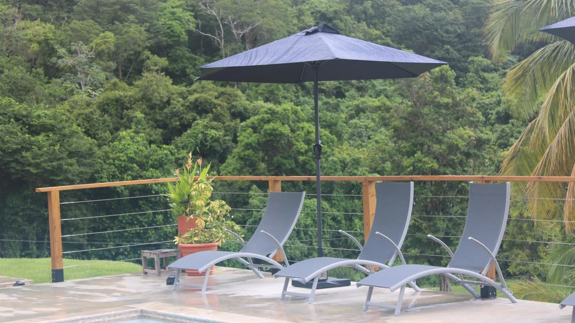 The Serene House Bed & Breakfast Luquillo