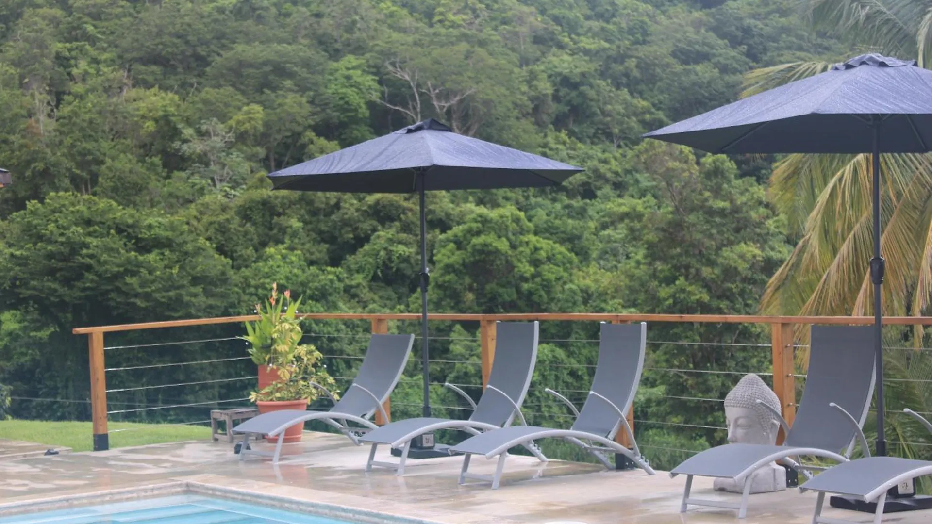 The Serene House Bed & Breakfast Luquillo