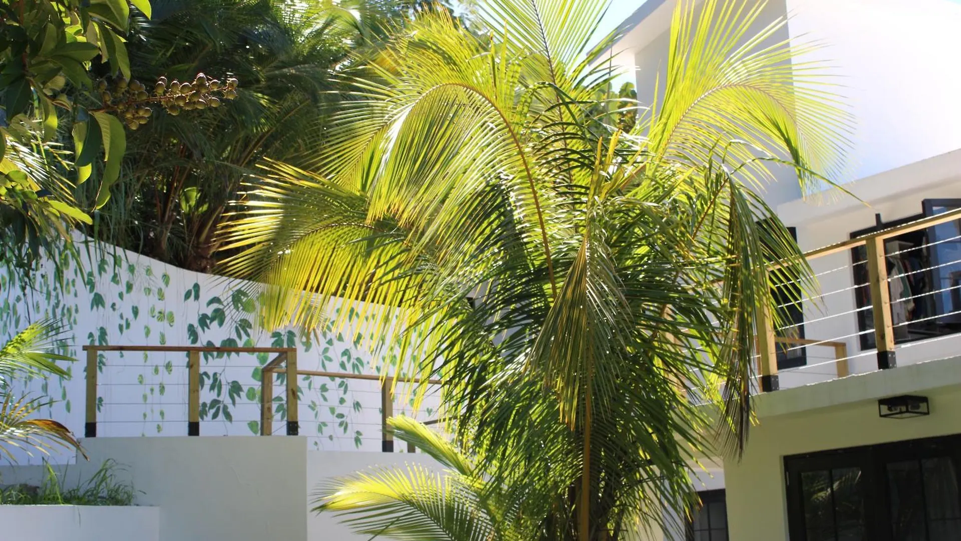 The Serene House Bed & Breakfast Luquillo