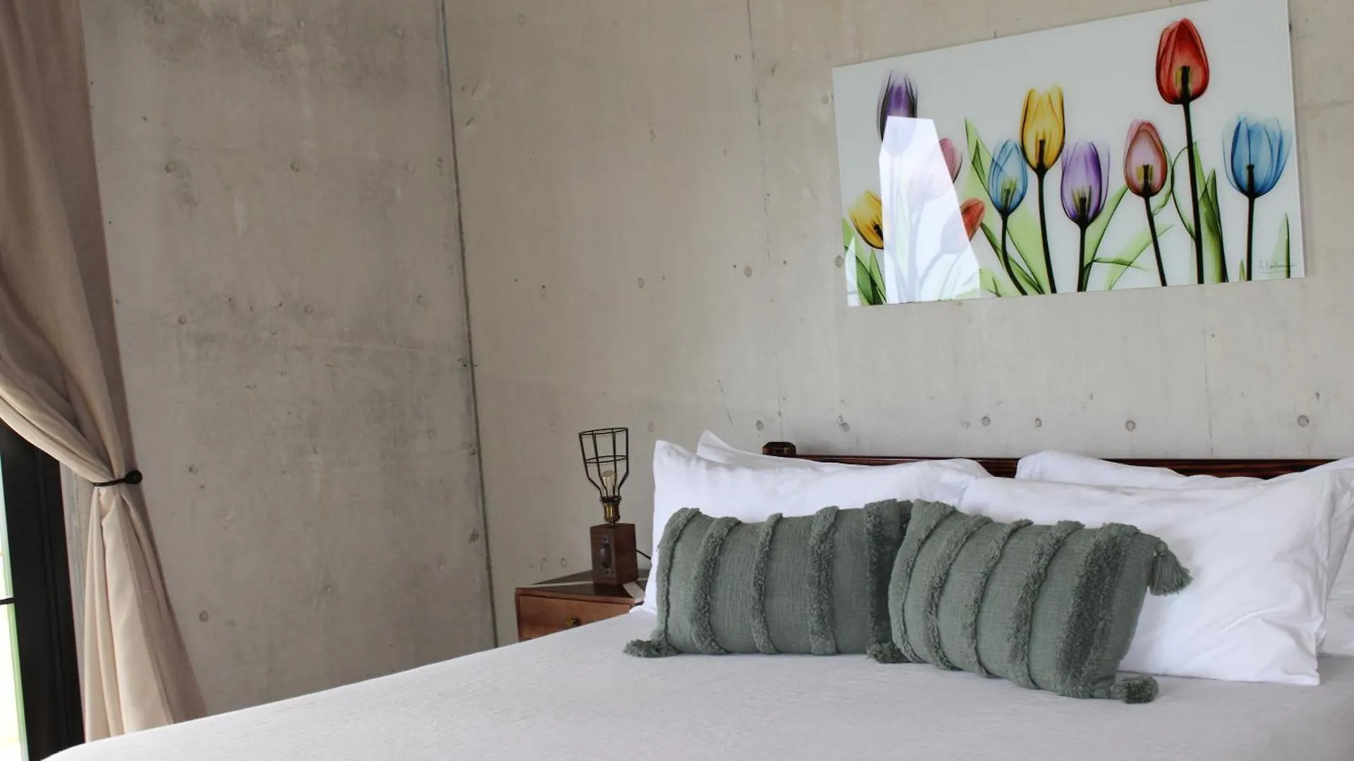 The Serene House Bed & Breakfast Luquillo 0*,